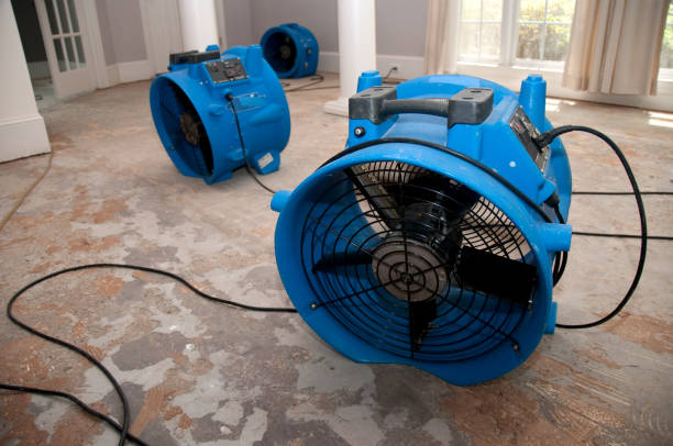 Best Water damage restoration near me  in Sandersville, GA
