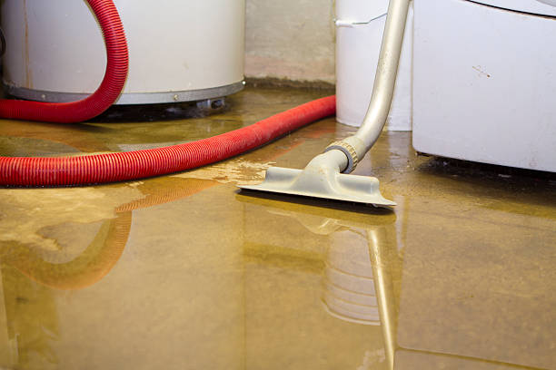Best Ceiling water damage repair  in Sandersville, GA