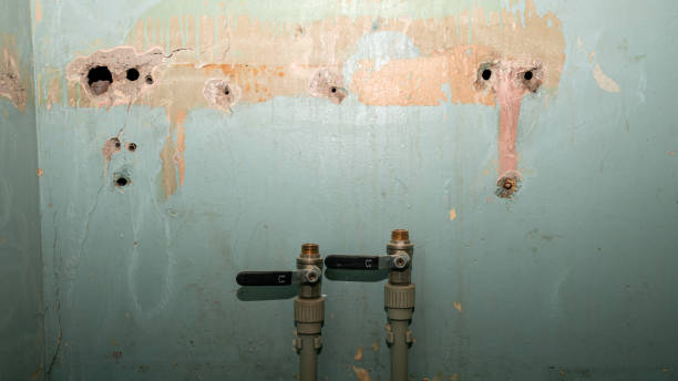 Best Flood damage cleanup  in Sandersville, GA