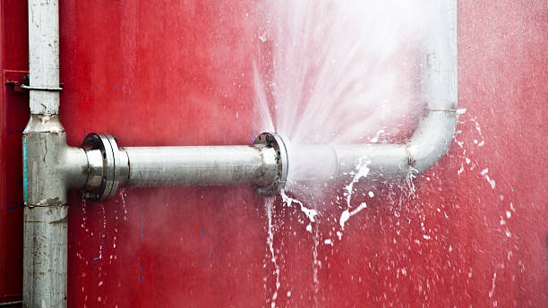 Best Professional water damage repair  in Sandersville, GA
